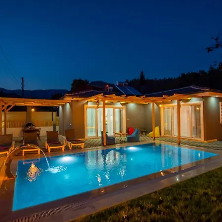 Dedekavak 1 Villa